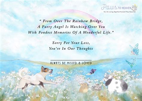 Paws to Heaven .